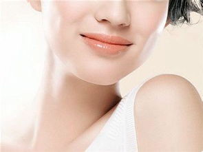 垫下巴常用的材料