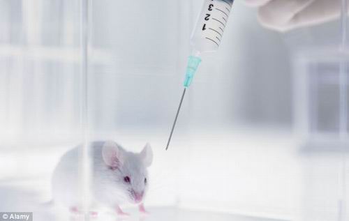 肉毒素或可用于治疗早泄