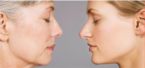 线雕和蛋白线的区别